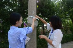 創建全國文明城市 華紡人在行動